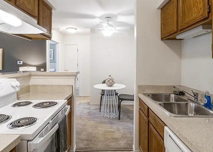 Landing Modern With Amazing Amenities *